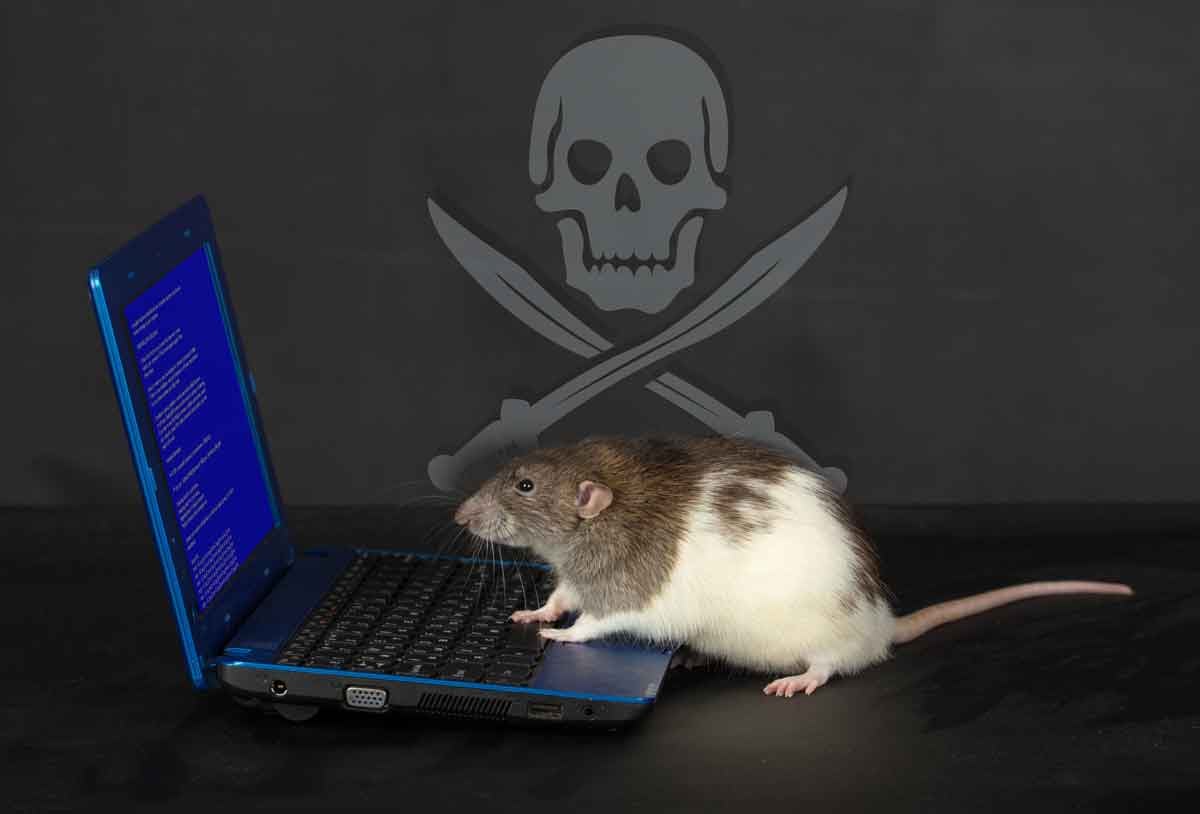 Does Your Computer Have A Rat Problem